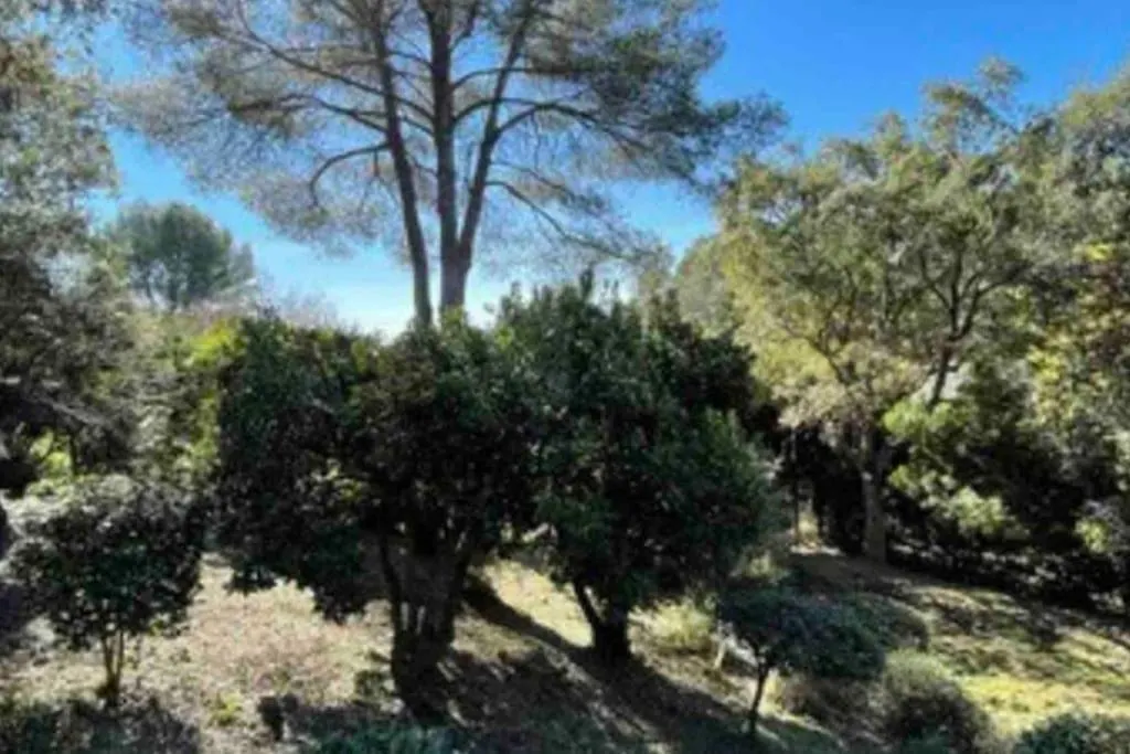 Villa Provencale Atypique A 5 M A Pied De La Plage Saint-Raphaël France